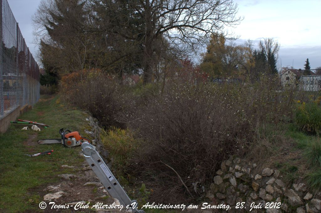 2012_1110_tca_ev__arbeitseinsatz_0000007.jpg