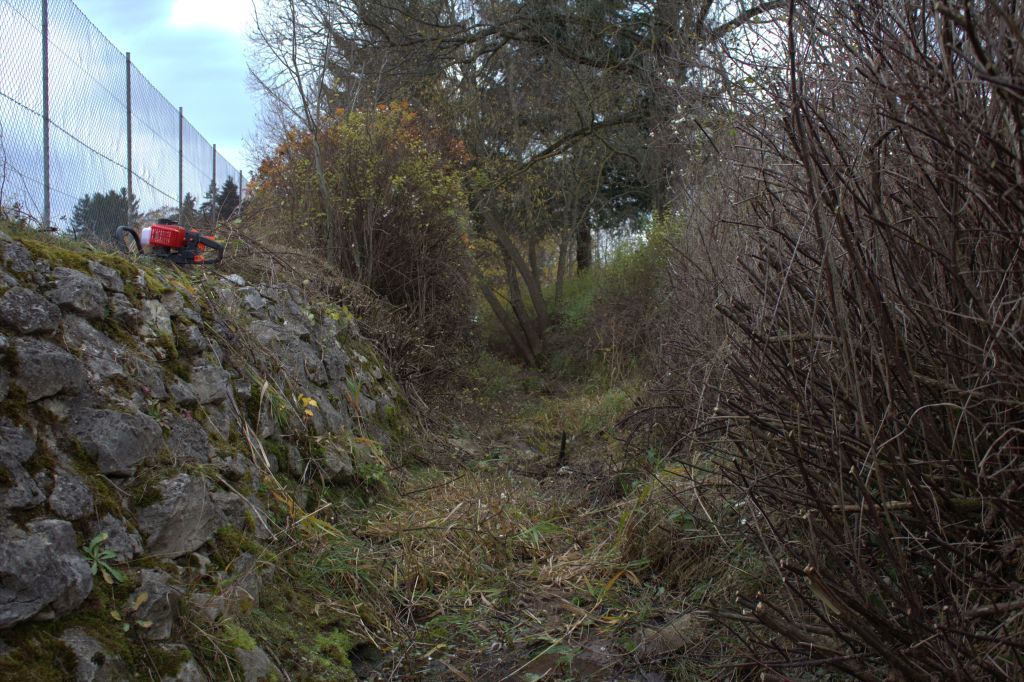 2012_1110_tca_ev__arbeitseinsatz_0000011.jpg