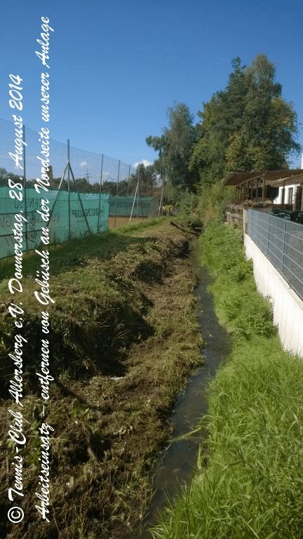 2014_0828__tca_ev__arbeitseinsatz_gebuesch_an_der_nordseite_entfernen_0000003.jpg