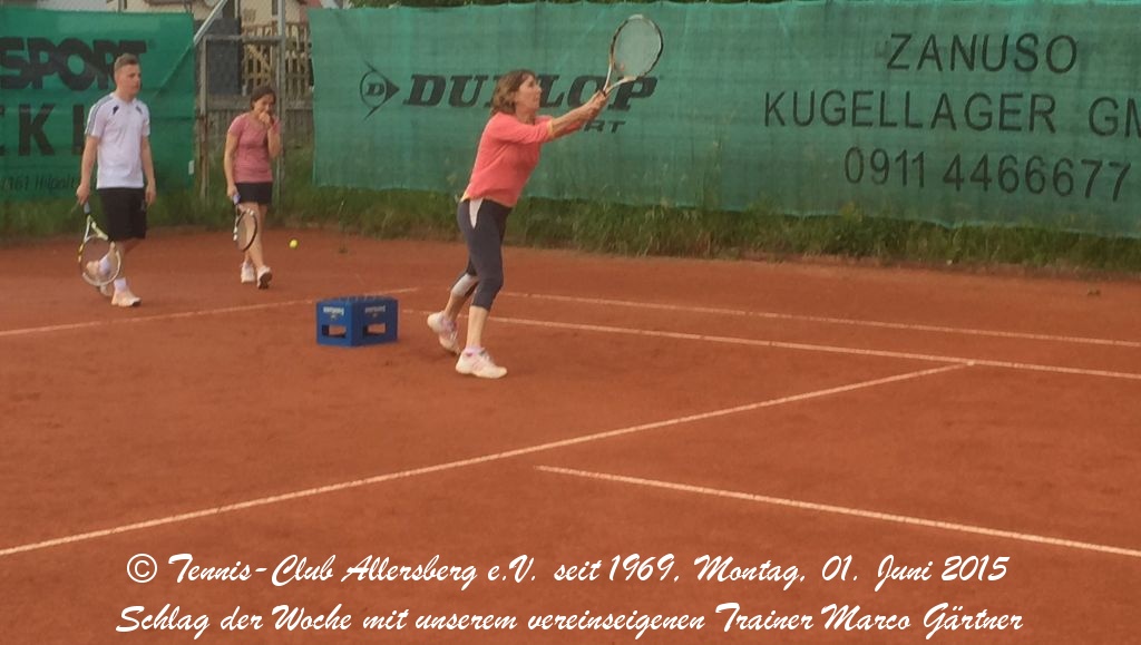 2015_0601_tca_ev__schlag_der_woche_0000006.jpg