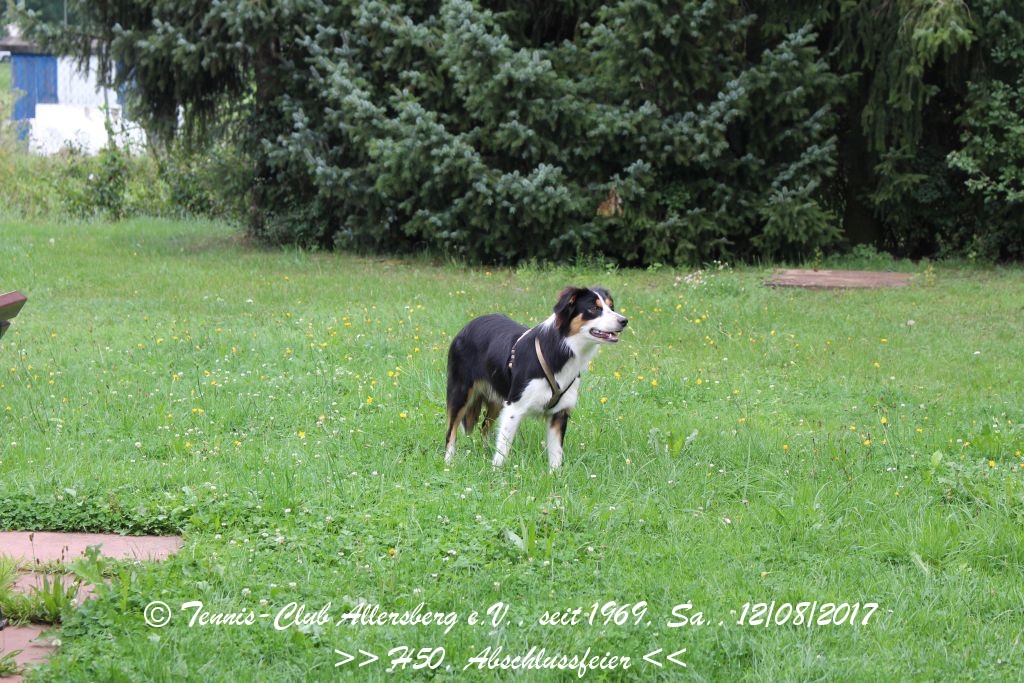 2017_0812_tca_ev__abschlussfeier_herren_50_0000005.jpg