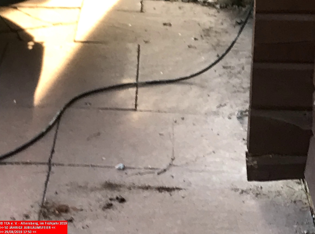 2019_0829_tca_ev__50_jaehriges_jubilaeum_stromleitungen_kabel_verlegen_sowie_zeltgarnituren_aufstellen_00000003.jpg